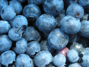 Blueberries for Skin